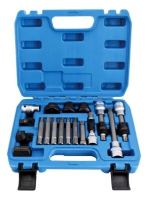 ASTA Lichtmaschine Wechsel Satz Freilauf Riemenscheibe Arretier Werkzeug Set