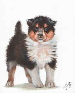 全新原装油艺术牧羊犬牧羊犬肖像画幼犬狗签名艺术品 Ebay