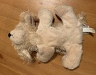 Bild 11 von 12