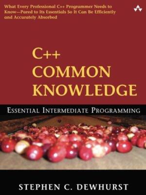 C++ Allgemeinwissen: Grundlegende Programmierung für Fortgeschrittene: Grundlegende Fortgeschrittene