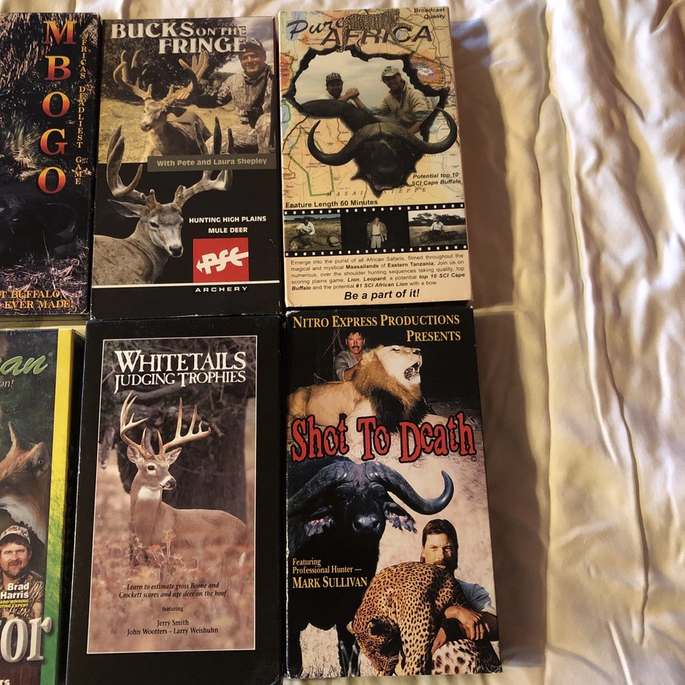 African Hunting Elk Monster Bear Boars Nitro Lohman Predator Archery Deer Lot 14 - Image 2 of 4