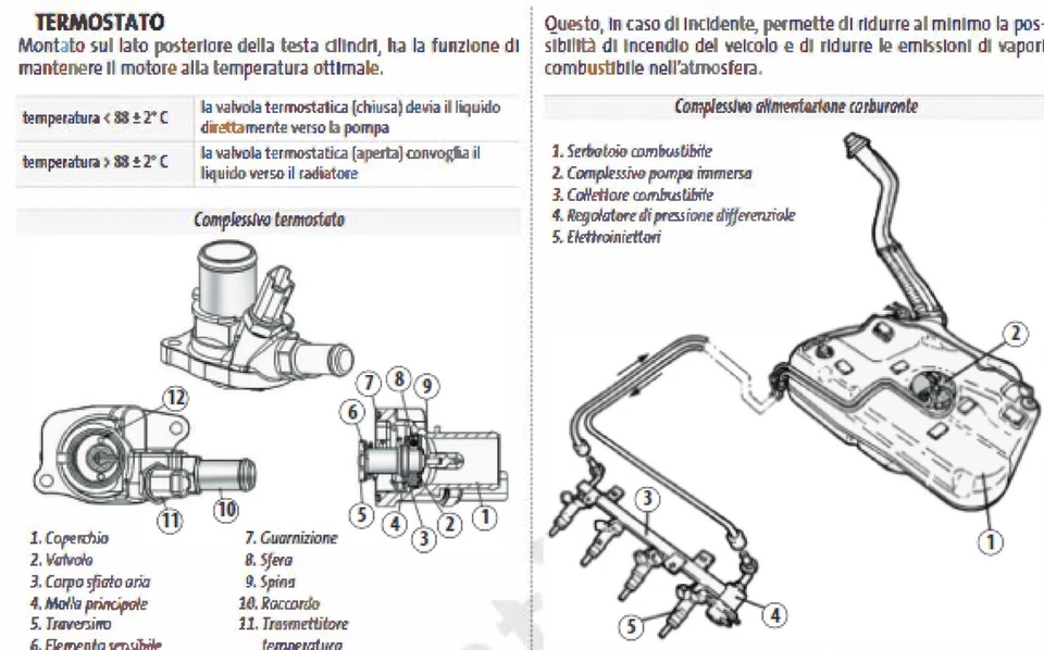 Fiat Tipo (2015-2020) manuale tecnico e di riparazione su Cd - Immagine 4 di 4
