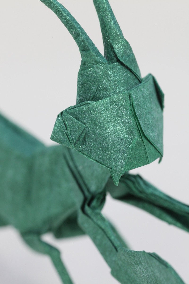 Origami Masters BUGS 