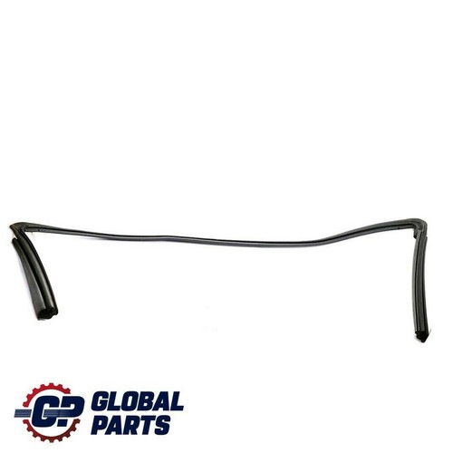 BMW E88 Cabrio Vorne Dichtung Windlauf Schiebedach Verdeck Abdichtung 7174784