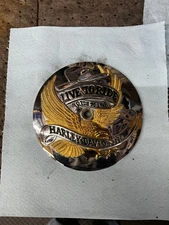 Harley-Davidson Live to Ride Air Cleaner Cover – Gold Eagle / Chrome 