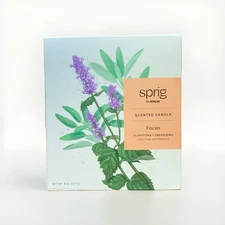 Sprig by Kohler Focus Aromatherapy Candle with Sage & Patchouli - 8 oz NEW