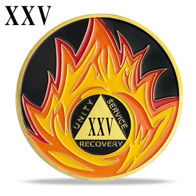 25 Years AA Sobriety Coin Alcoholics Anonymous Medallion Chip Sobriety  Gifts Men