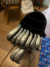 ⛳️Skymax 3-PW Iron Set 9 Clubs Graphite Shaft Steel Heads RH Regular Silver⛳️