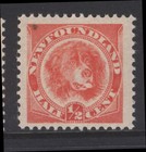Newfoundland 57 Nssc 39a 1896 1/2c Orange Red World'S First Dog Stamp Mnh Cv$360