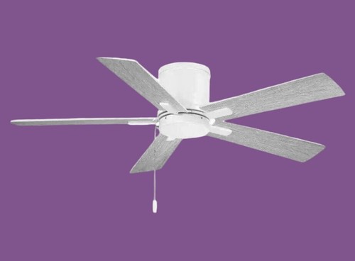 HAMPTON BAY Grantway 48 Inch Indoor/Outdoor Matte White Ceiling Fan No light