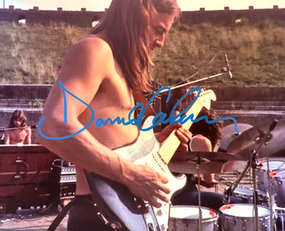 DAVID GILMOUR Signed (PINK FLOYD) 8x10'' Authentic Original Autograph w/COA