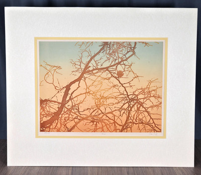 Brian Braff signed numbered print / etching titled ''Changes'' trees