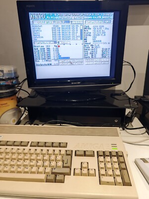 Commodore AMIGA A1200 A1208 computer, power supply, 10mb HD CF4gb