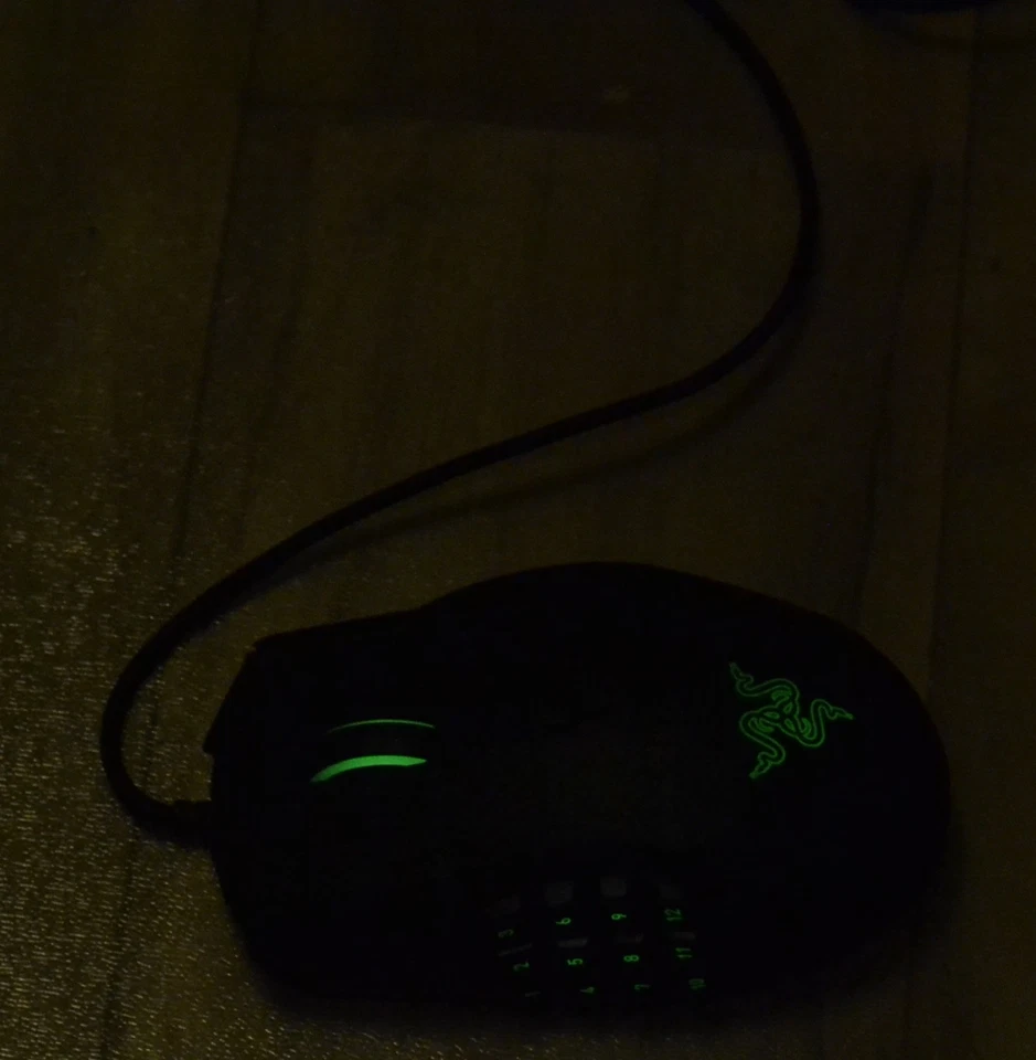 Razer Naga RZ01-01040100-R3U1 Laser Maus