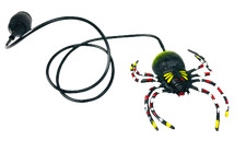 H&uuml;pfspinne verpackt in T&uuml;te gr&ouml;&szlig;e ca. 11cm