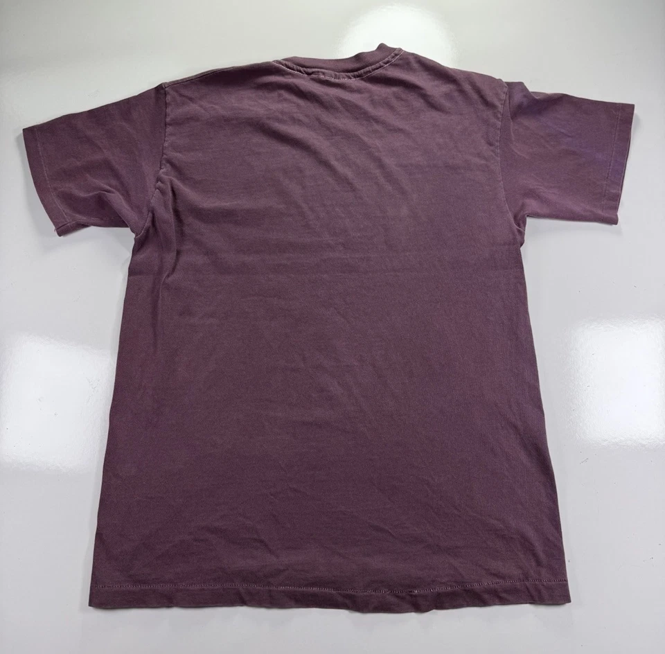 Винтажная футболка Hanes Colorado Mountain Graphic Hanes Beefy-t слива M футболка США - Изображение 2 из 4