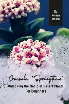 Aldash - Crassula 'Springtime' schaltet die Magie der Wüstenpflanzen frei - J555z