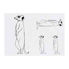 4 x 'Meerkat' Temporary Tattoos / Transfers TO00001321 