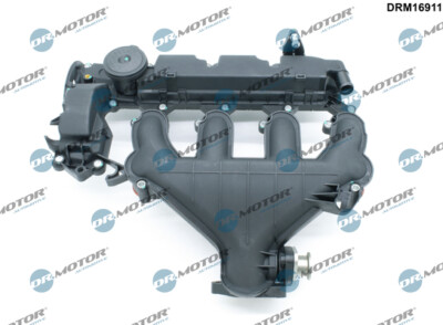 Dr.Motor Automotive DRM16911 Saugrohrmodul für CITROËN,FIAT,FORD,LANCIA,PEUGEOT