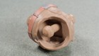 Bild 3 von 3