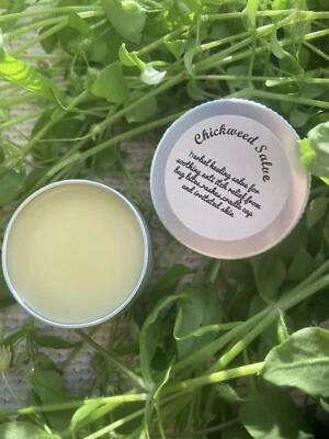 Chickweed Salve/ Herbal Healing Salve/ Handcrafted