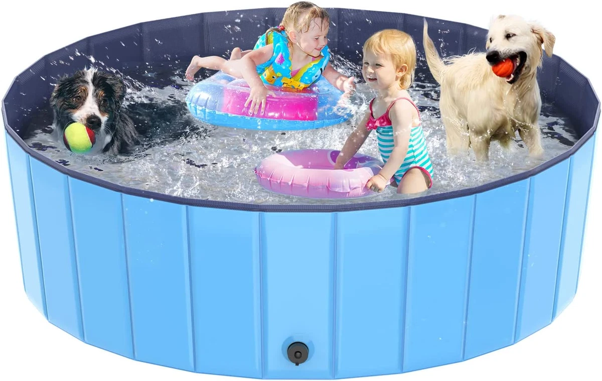 Ebay dog cheap pool