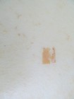 Bild 6 von 6
