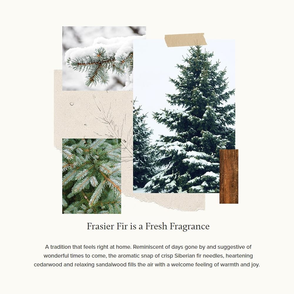 Thymes Frasier Fir Pine Needle Candle – Holiday Candles for Home Scented with 