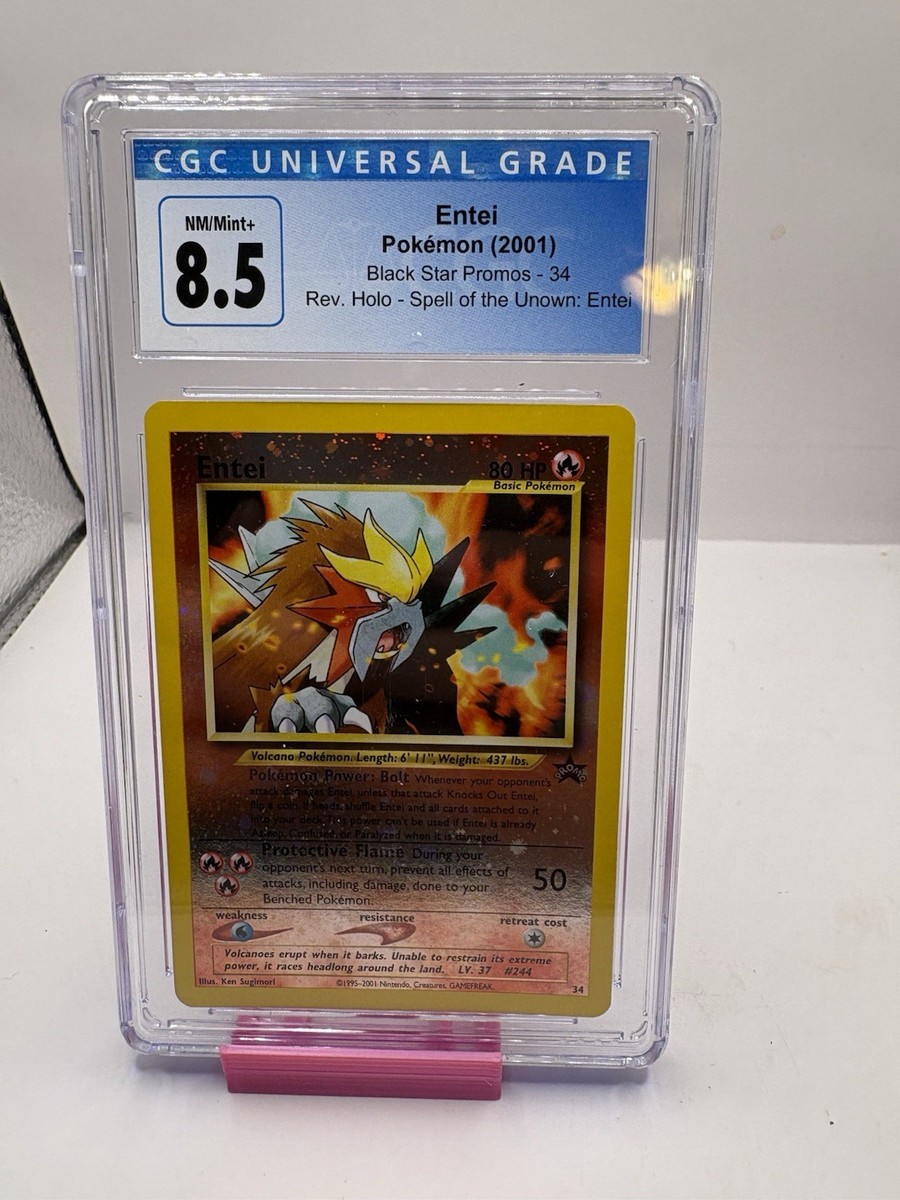 ollies pokemon cards Pokemon Scarlet & Violet Temporal Forces Illustration Rare Grotle #164