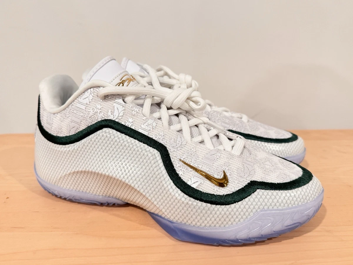 Las mejores ofertas en Nike Lebron 23 From This Point Forward | eBay
