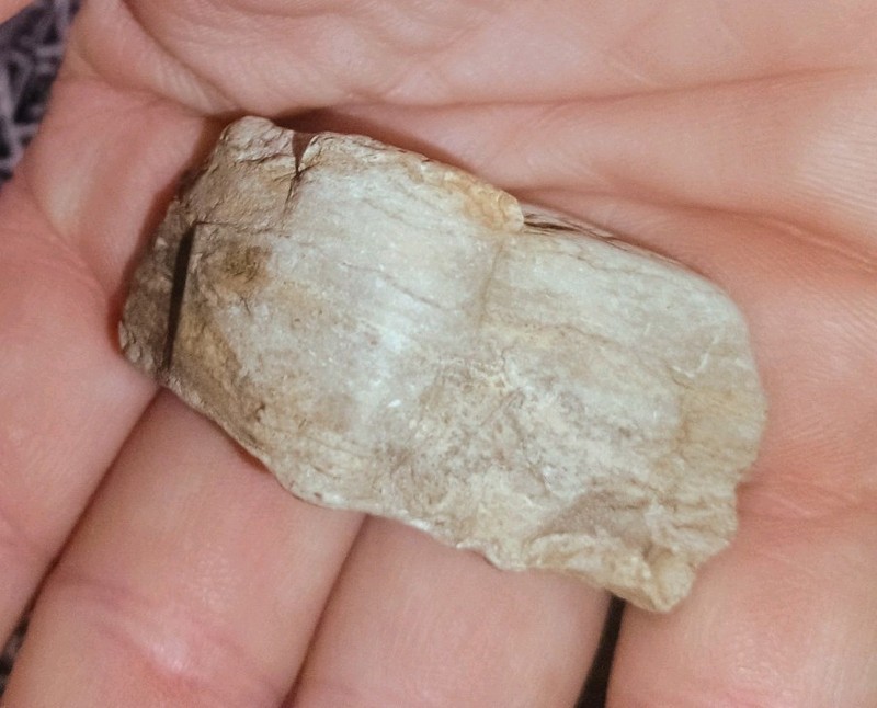 Small Rough Tan/White Natural Stone Rock Mineral Specimen (Unidentified)