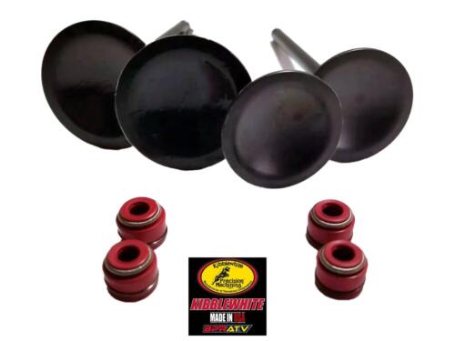 Polaris Predator 500 Kibblewhite Head Intake Exhaust Valves RED Seals 2003-2007 - Picture 3 of 24