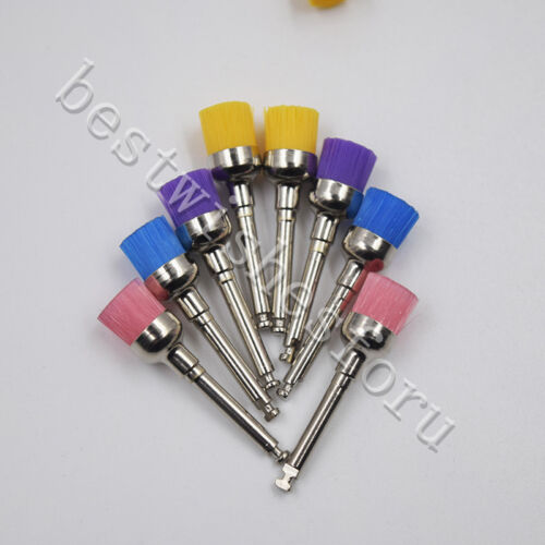 Dental Mehrfarbig Nylon Riegel Flache Schüssel Polieren Polierer Prophy Tasse Bolzenbürste - Bild 10 von 16
