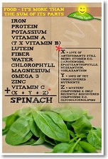 Food - It's More Than The Sum of It's Parts - Spinach - NEW Nutrition POSTER