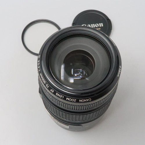 Canon EF 75-300mm f/4-5.6 IS USM Telephoto Zoom Stabilizer Lens