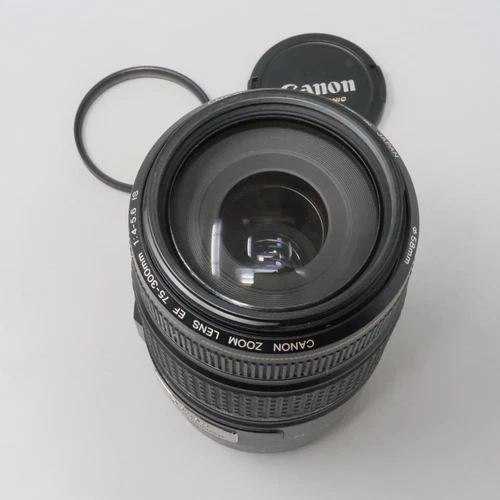 Canon EF 75-300mm f/4-5.6 IS USM Telephoto Zoom Stabilizer Lens