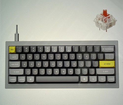 Keychron Q4 QMK Custom 60% Mechanical Keyboard Silver Gray Gateron Red Switches