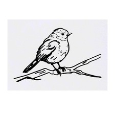 'Perched Robin' Temporary Tattoos / Transfers TO00033048 