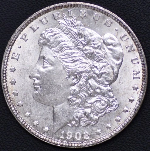 1902 Morgan Dollar Choice AU