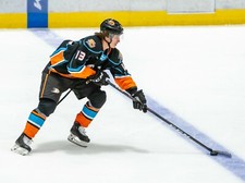 Trevor Zegras Anaheim Ducks 8x10 unsigned photo