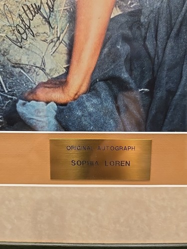 Fotografía Original Sophia Loren Walt Disney World Co, Autografiada y Certificada - Imagen 2 de 6