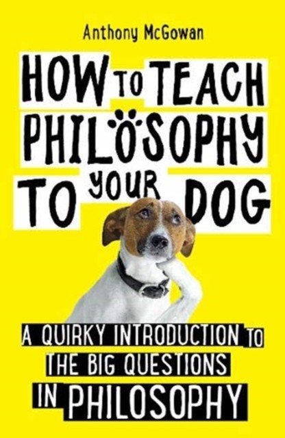 How to Teach Philosophy to Your Dog by Anthony McGowan (Paperback Book)