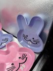 Hard Plastic Bunny Containers & Bunny Trays — photo 4