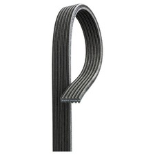 Gates Keilrippenriemen 8692141 9458469 21001299