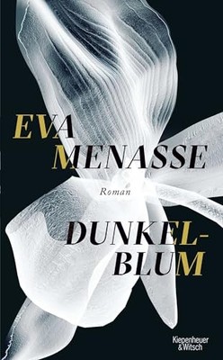Dunkelblum: Roman by Menasse, Eva Book The Fast Free Shipping