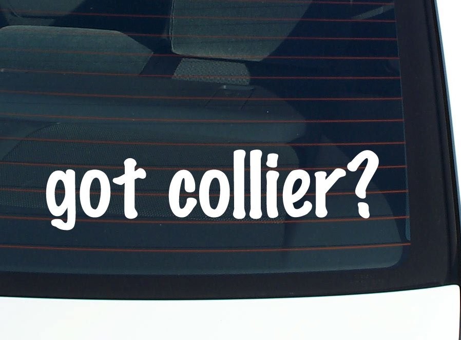 Got Collier Car Decal Bumper Sticker Vinyl Funny Last Name Window Pride