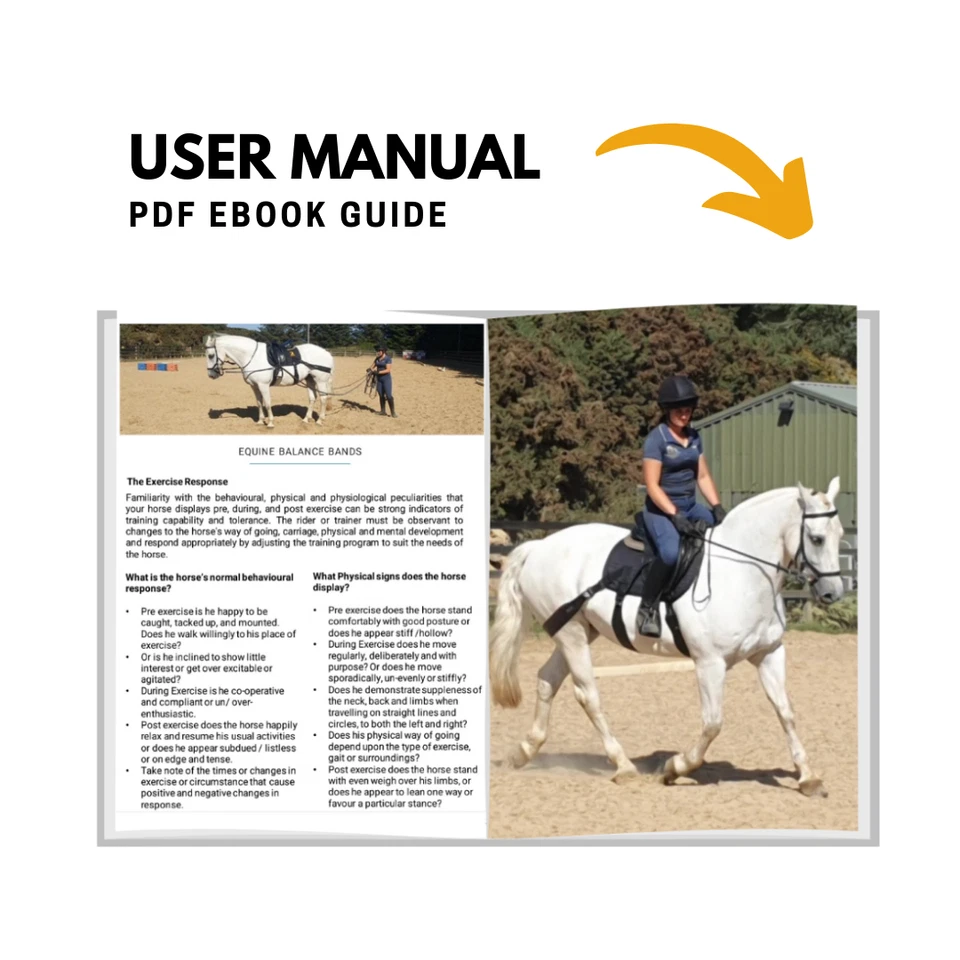 Equine Band Core Conditioning System by Equine Balance Bands - Image 4 of 4