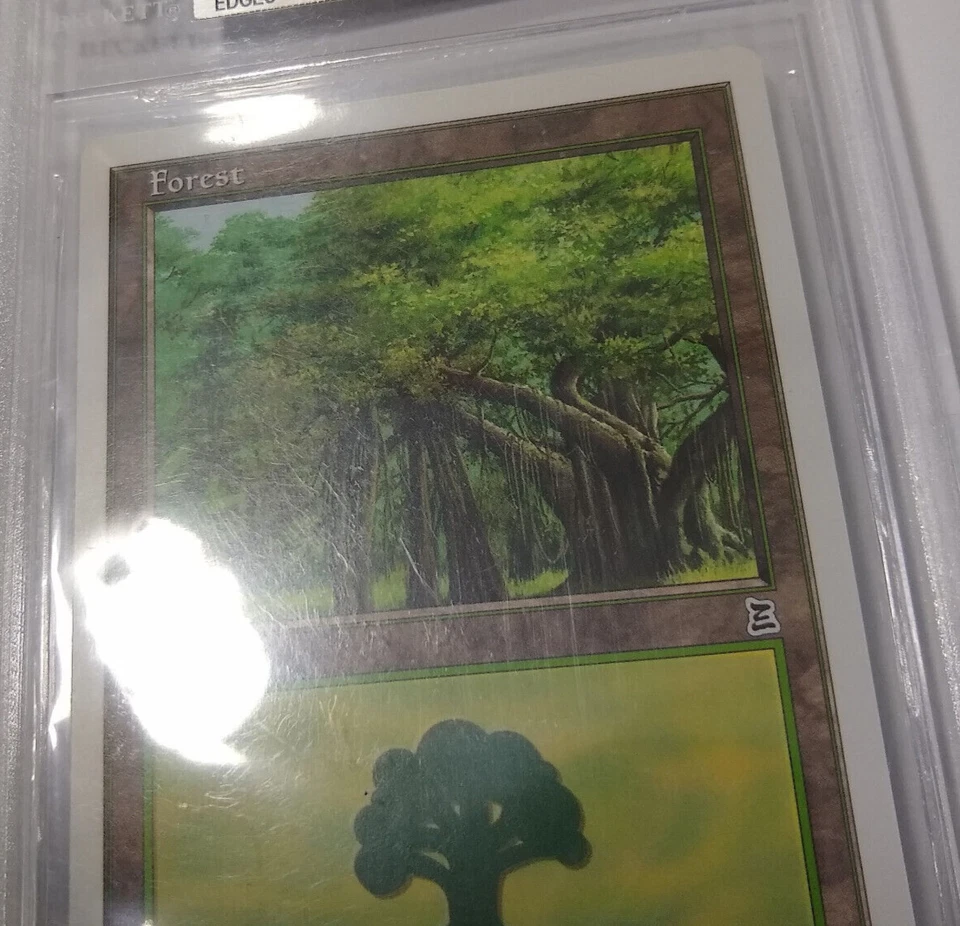 BGS 9 QUAD++ Forest 180 MTG Graded MINT Common Portal Three Kingdoms P3K NM - Image 2 of 4