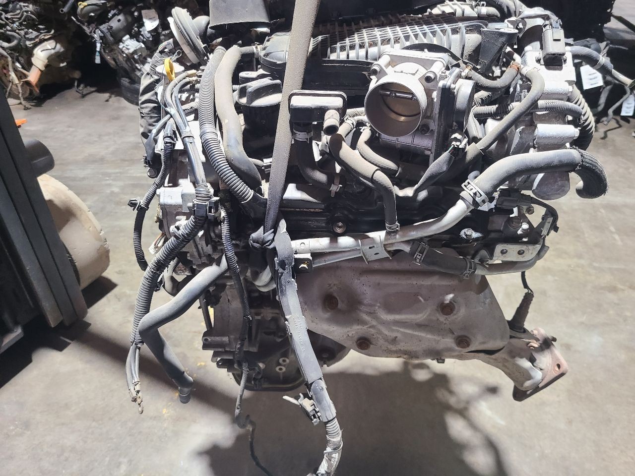 Picture 4