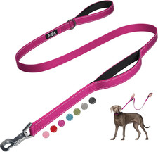 4 FT Heavy Duty Dog Leash with 2 Comfortable Padded Handles, Traffic Handle & Ad